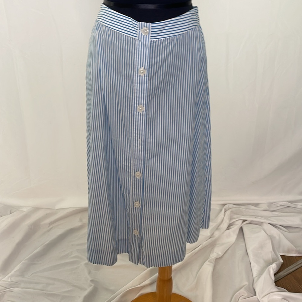 Blue Striped Button-Down Skirt - Picture 2 of 5